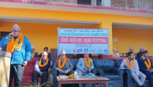 DoKo Festival to Replace Plastic Materials